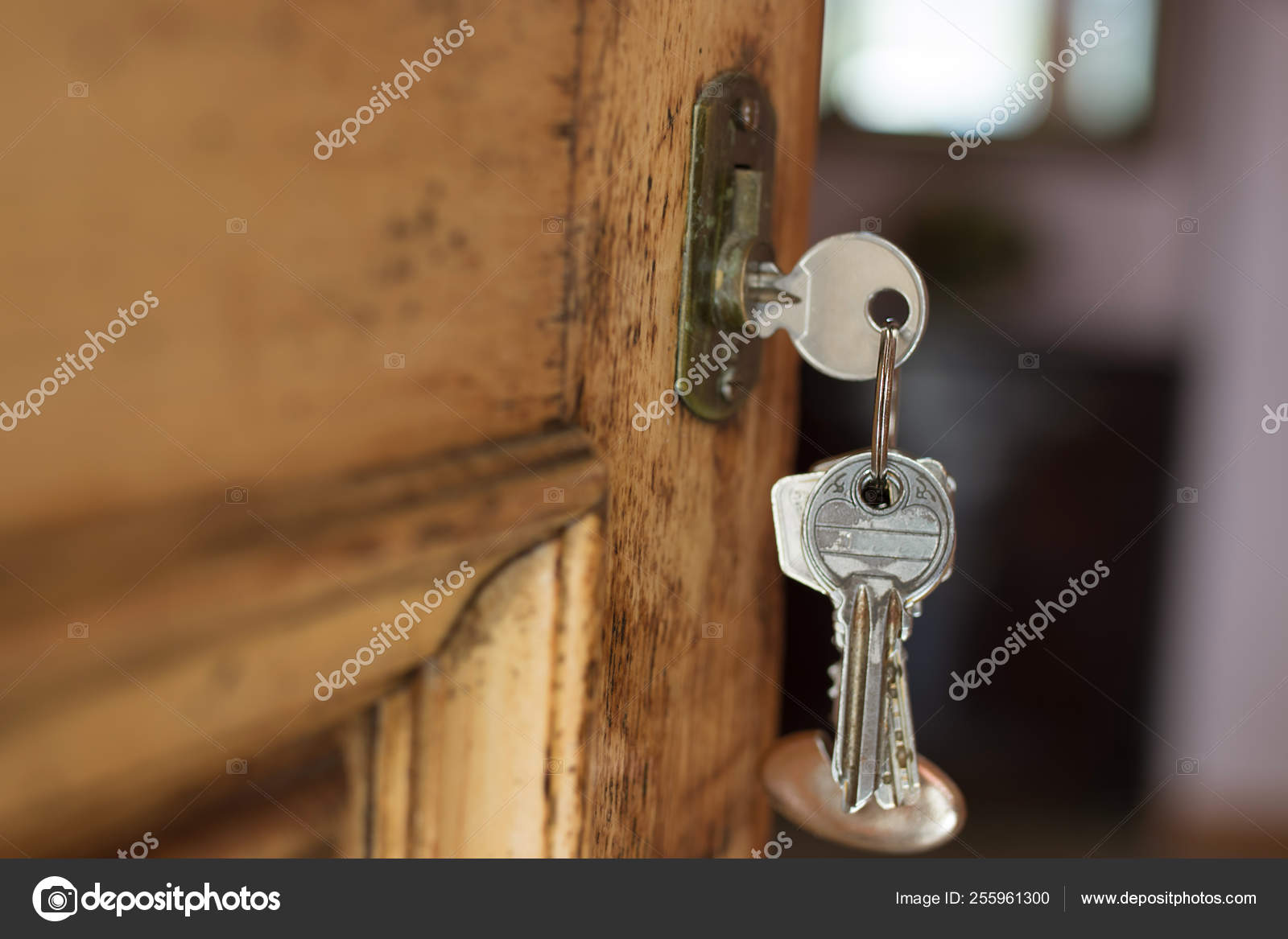 Lock Keys Old Retro Door Vintage Stock Photo C Carballo 255961300