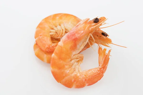 Cooked Prawns Isolated White Background — Stock Photo, Image