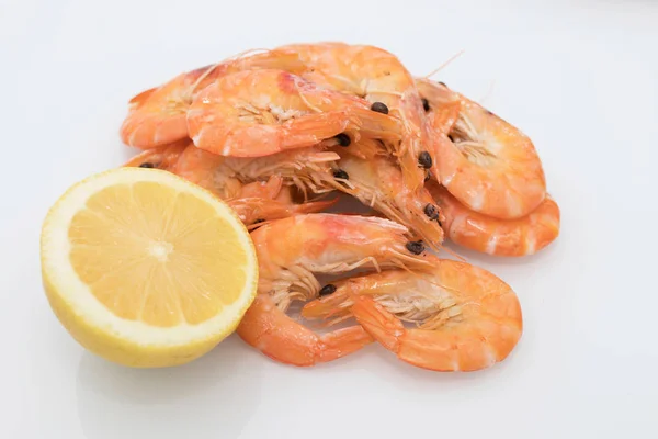 Cooked Prawns Isolated White Background — Stock Photo, Image