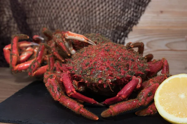 Caranguejo Galego Estuário Frutos Mar Frescos Selvagens — Fotografia de Stock