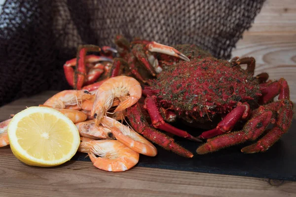 Frutos Mar Frescos Naturais Preparados — Fotografia de Stock