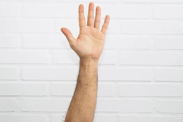 Geïsoleerde Handen Witte Achtergrond — Stockfoto
