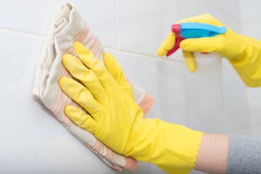 bez ve sprey temizliği ile el