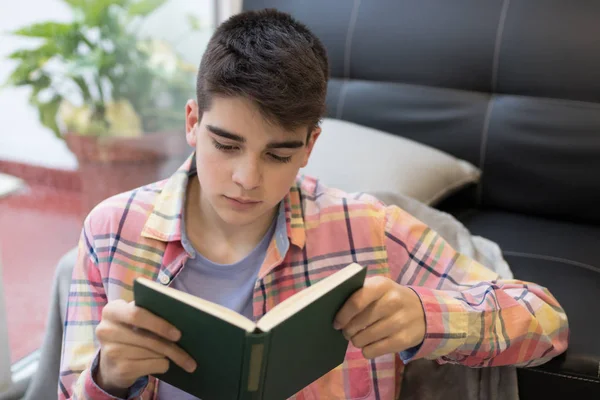 Młodzi Domu Czytając Książkę Lub Studiując — Zdjęcie stockowe