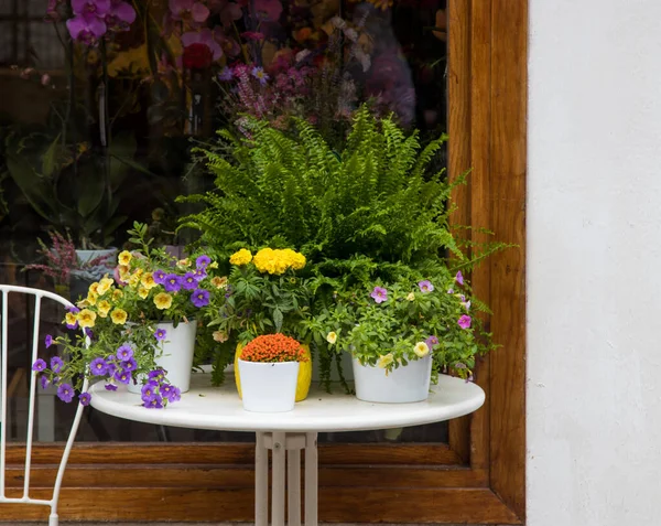 Tavolo Con Piante Fiori Fiorista — Foto Stock