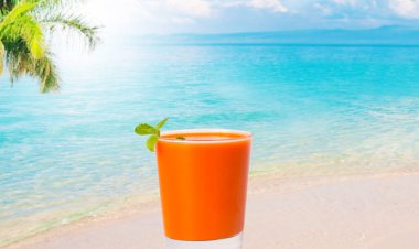 Domates suyu ya da gazpacho.