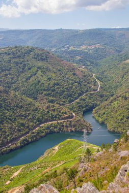 Sil Kanyonu 'nun manzarası Dük, Ribeira Sacra, Bizim, Galiçya, İspanya