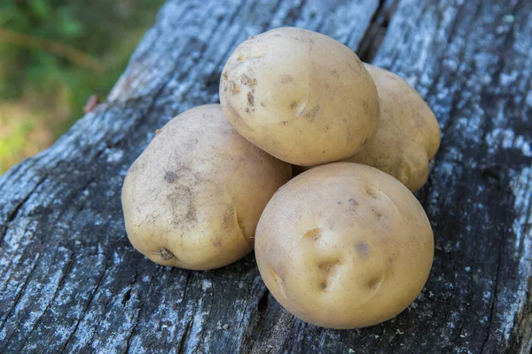 Batatas Madeira Rústica Colheita Agricultura — Fotografia de Stock