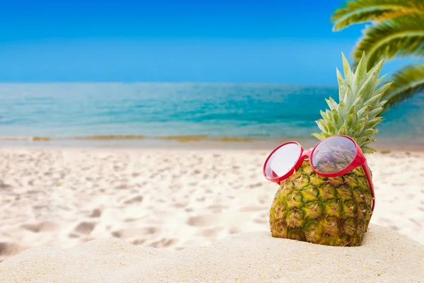 Sahilde güneş gözlüklü ananas.