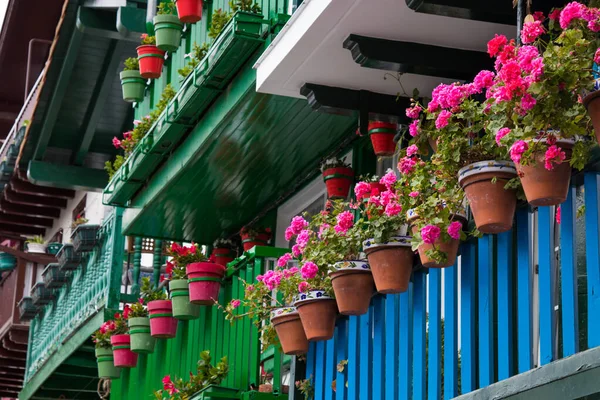 Balcon Avec Pots Fleurs — Photo