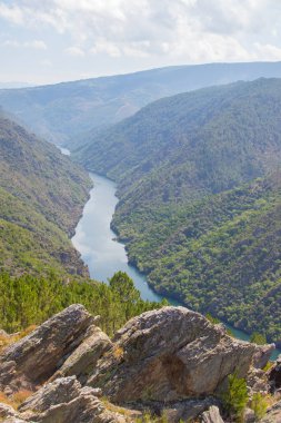 Sil Kanyonu 'nun manzarası Dük, Ribeira Sacra, Bizim, Galiçya, İspanya