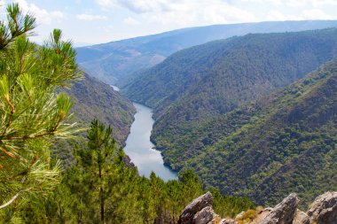 Sil Kanyonu 'nun manzarası Dük, Ribeira Sacra, Bizim, Galiçya, İspanya