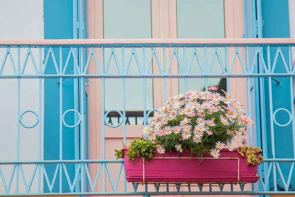 Balkon Met Bloeiende Potten — Stockfoto