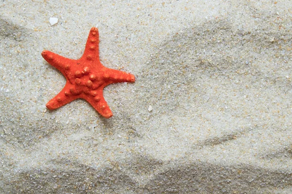 Starfish Sand Beach — Stock Photo, Image