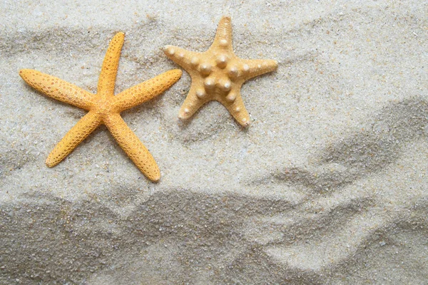 Звезда Пляжном Песке — стоковое фото