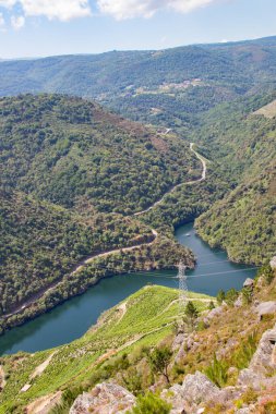 Sil Kanyonu 'nun manzarası Dük, Ribeira Sacra, Bizim, Galiçya, İspanya