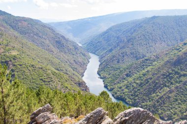 Sil Kanyonu 'nun manzarası Dük, Ribeira Sacra, Bizim, Galiçya, İspanya