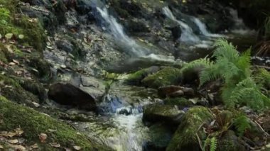 Sil kanyonu, doğal rezerv ve ribeira sacra 'daki dünya mirası alanı, bizim yerimiz, galiçya, İspanya