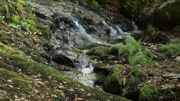 Beek Sil Canyon Natuurreservaat Werelderfgoed Ribeira Sacra Ourense Galicië Spanje — Stockvideo