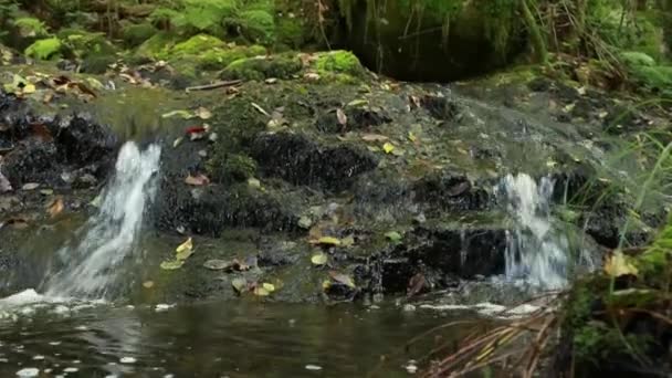 Beek Sil Canyon Natuurreservaat Werelderfgoed Ribeira Sacra Ourense Galicië Spanje — Stockvideo