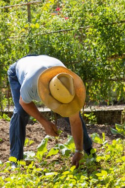 Bahçede çalışan çiftçi.