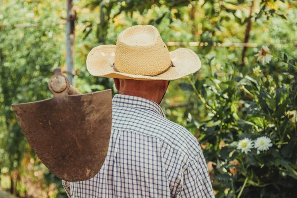 Agricultor Com Ferramenta Trabalho Campo — Fotografia de Stock