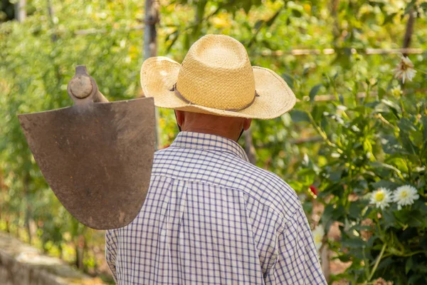 Agricultor Com Ferramenta Trabalho Campo — Fotografia de Stock