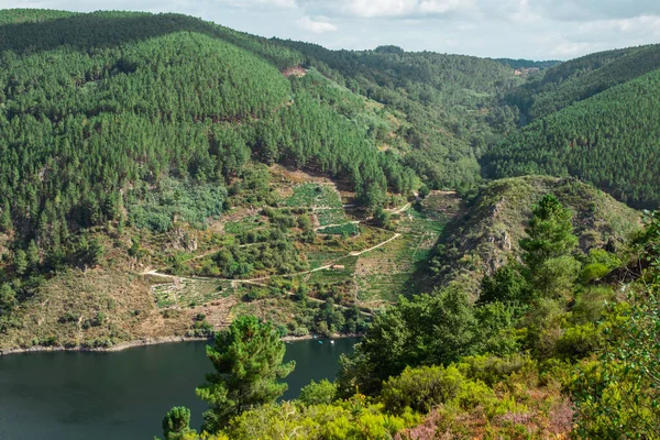 Krajobraz Rezerwuaru San Esteban Kanionie Sil Ribeira Sacra Ourense Galicia — Zdjęcie stockowe