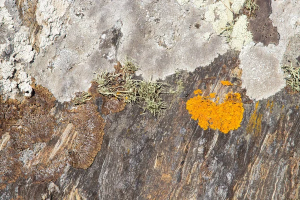 Abstrakt Bakgrund Natursten Eller Bergstruktur — Stockfoto