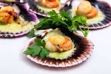 yeşil soslu deniz tarakları, deniz ürünleri.