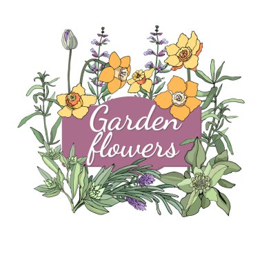 Vektör Bahçe çiçek.