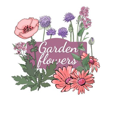 Vektör Bahçe çiçek.