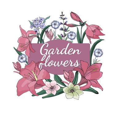 Vektör Bahçe çiçek.
