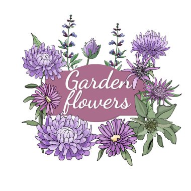 Vektör Bahçe çiçek.