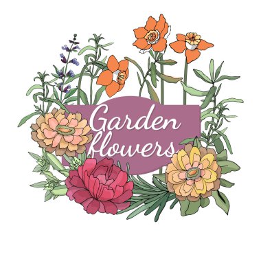 Vektör Bahçe çiçek.