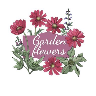 Vektör Bahçe çiçek.