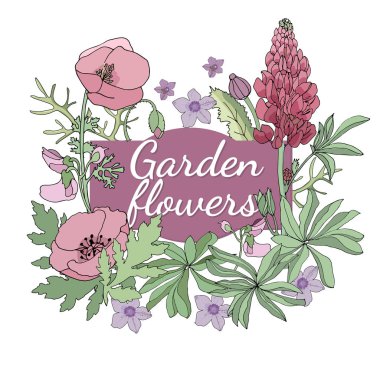 Vektör Bahçe çiçek.