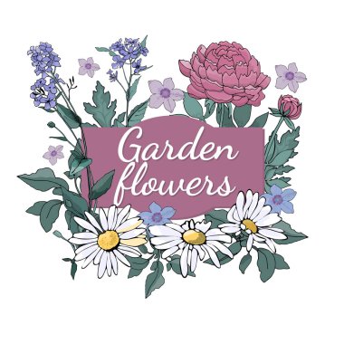 Vektör Bahçe çiçek.