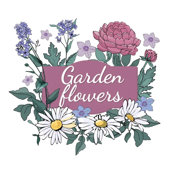 Vektör Bahçe çiçek.