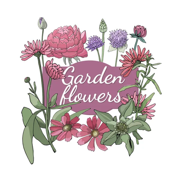 Vektör Bahçe çiçek.