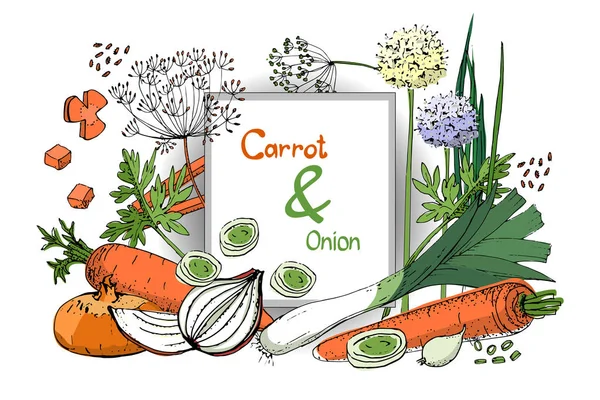 Векторный набор лука и моркови . — стоковый вектор