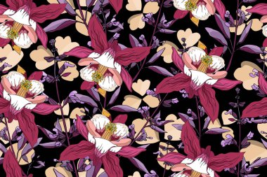  Bahçe pembe ve beyaz aquilegia (columbine).