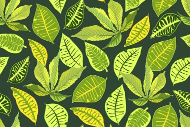 tropikal vektör seamless modeli.