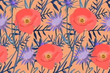 Çayır haşhaş çiçek ve tragopogon.