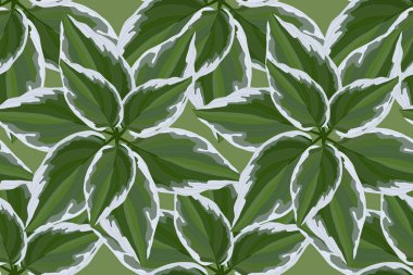 Hosta ile çiçek vektör dikişsiz desen.