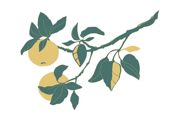 Branche de pomme avec feuilles et pommes . — Image vectorielle