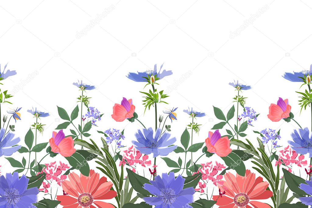 Vector floral seamless border. Summer flowers, green leaves. Chicory, mallow, gaillardia, marigold, oxeye daisy. Pink, blue flowers isolated on white background.