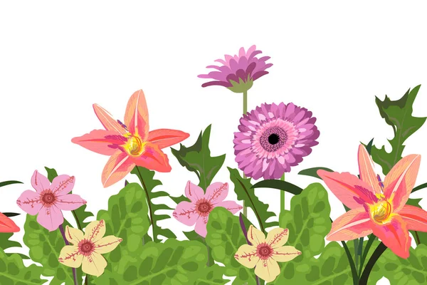 Vector floral seamless border, pattern with daylilies and gerbera daisies. - Stok Vektor