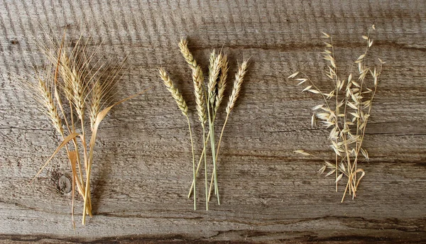 Rye, wheat, oats. Ripe spikelets on a wooden background. — Stock Photo, Image