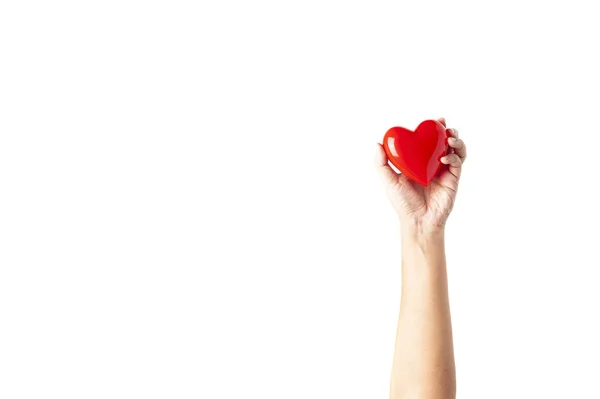 흰색 배경에 고립 된 플라스틱 빨간 심장을 들고 손을 잡고 — 스톡 사진